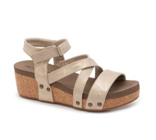 Corkys Gold Sun Down