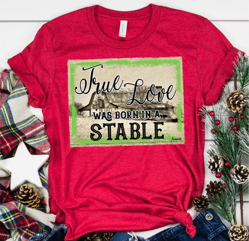 True Love Born in a Stable